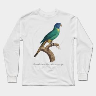 Rainbow Lorikeet juvenile / Perruche a tete bleue jeune age - 19th century Jacques Barraband Illustration Long Sleeve T-Shirt